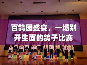 百鴿園盛宴，一場別開生面的鴿子比賽盛宴！