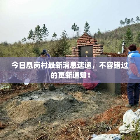 今日凰崗村最新消息速遞，不容錯過的更新通知！