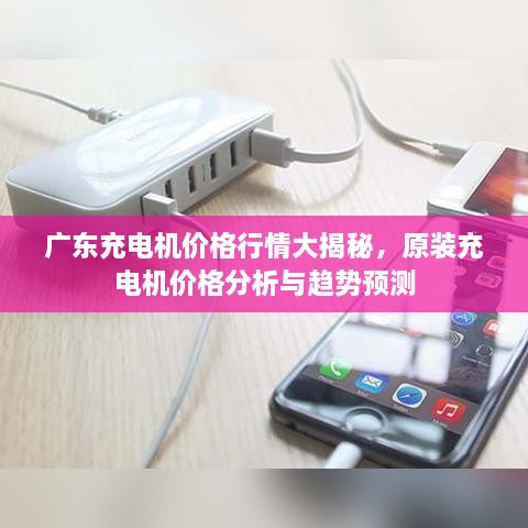 廣東充電機價格行情大揭秘，原裝充電機價格分析與趨勢預(yù)測