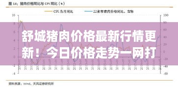 舒城豬肉價格最新行情更新！今日價格走勢一網(wǎng)打盡