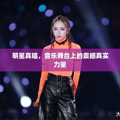 明星真唱，音樂舞臺(tái)上的震撼真實(shí)力量