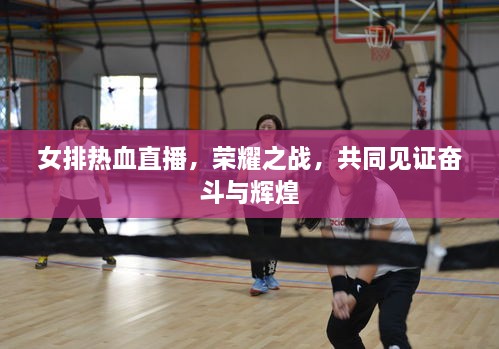 女排熱血直播，榮耀之戰(zhàn)，共同見證奮斗與輝煌