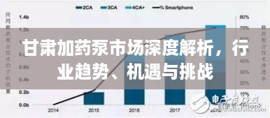 甘肅加藥泵市場深度解析，行業(yè)趨勢、機遇與挑戰(zhàn)