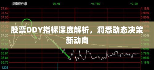股票DDY指標(biāo)深度解析，洞悉動態(tài)決策新動向