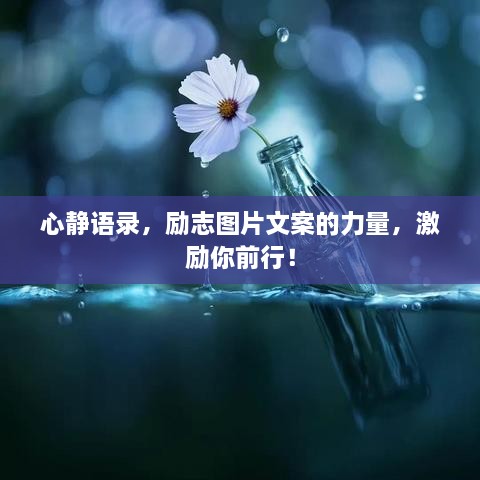 心靜語錄，勵志圖片文案的力量，激勵你前行！