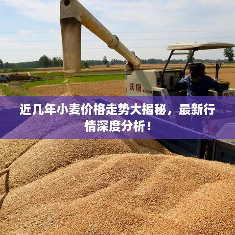 近幾年小麥價(jià)格走勢(shì)大揭秘，最新行情深度分析！