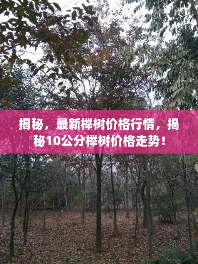 產(chǎn)品展示 第31頁