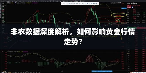 非農(nóng)數(shù)據(jù)深度解析，如何影響黃金行情走勢？