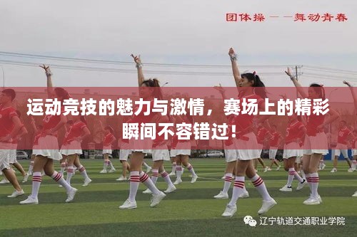運(yùn)動(dòng)競(jìng)技的魅力與激情，賽場(chǎng)上的精彩瞬間不容錯(cuò)過(guò)！