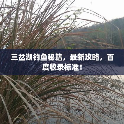 三岔湖釣魚秘籍，最新攻略，百度收錄標(biāo)準(zhǔn)！