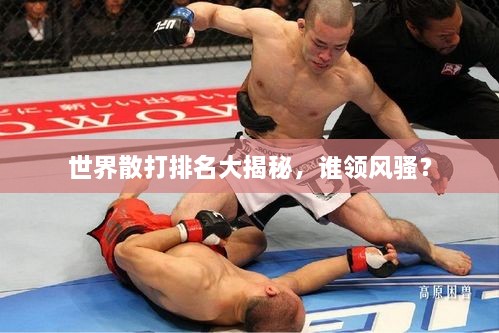 世界散打排名大揭秘，誰領風騷？