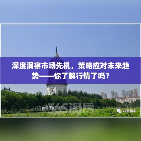 深度洞察市場先機，策略應(yīng)對未來趨勢——你了解行情了嗎？