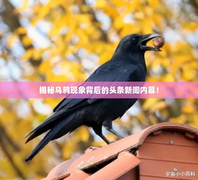 工程案例 第12頁