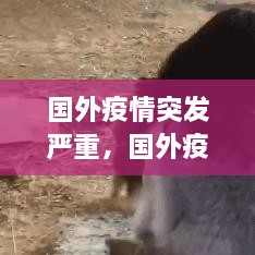國外疫情突發(fā)嚴重，國外疫情形勢嚴峻 