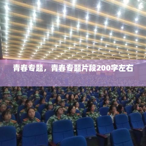 青春專(zhuān)題，青春專(zhuān)題片段200字左右 