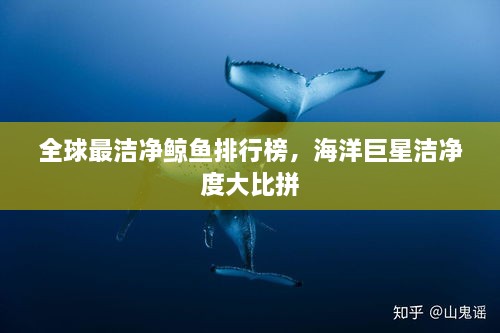 2025年5月4日 第2頁