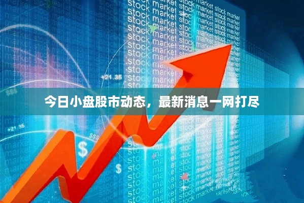 今日小盤股市動態(tài)，最新消息一網(wǎng)打盡