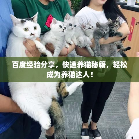 百度經(jīng)驗(yàn)分享，快速養(yǎng)貓秘籍，輕松成為養(yǎng)貓達(dá)人！