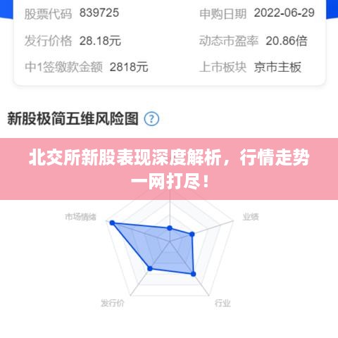 北交所新股表現(xiàn)深度解析，行情走勢一網(wǎng)打盡！